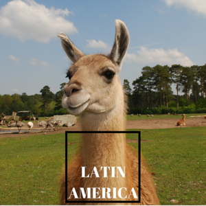 Destinations - Latin America Travel Guides - Image of llama with "Latin America" text overlay