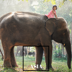 Small child riding an elephant - Guides to Asia