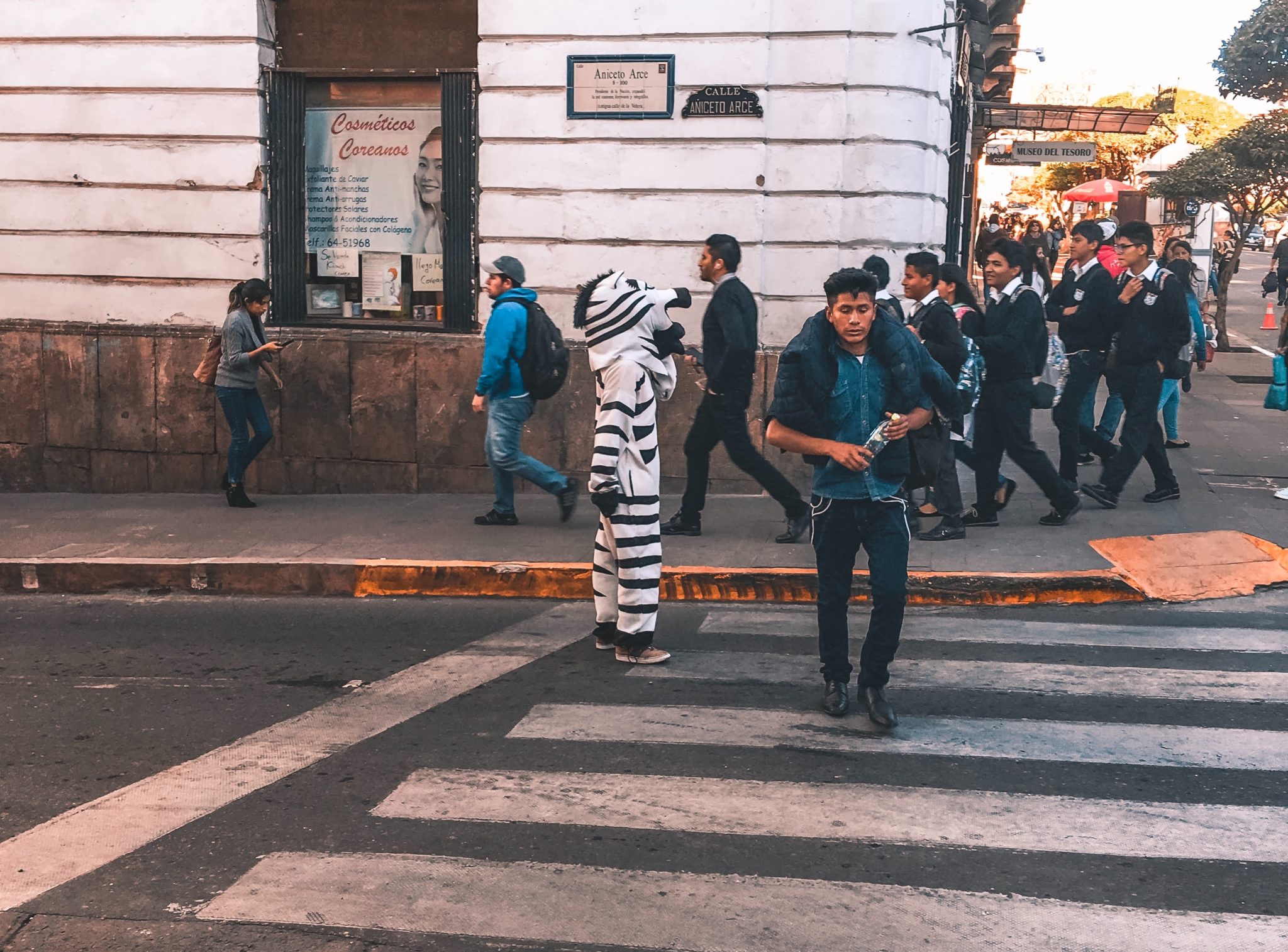 Zebra Crossing Sucre Bolivia Zebra Crossing Sucre Bolivia