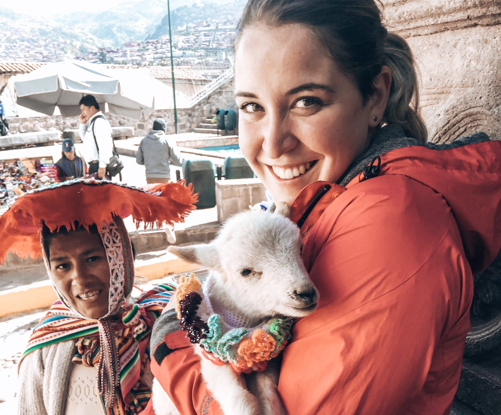 Llama in Cusco Peru