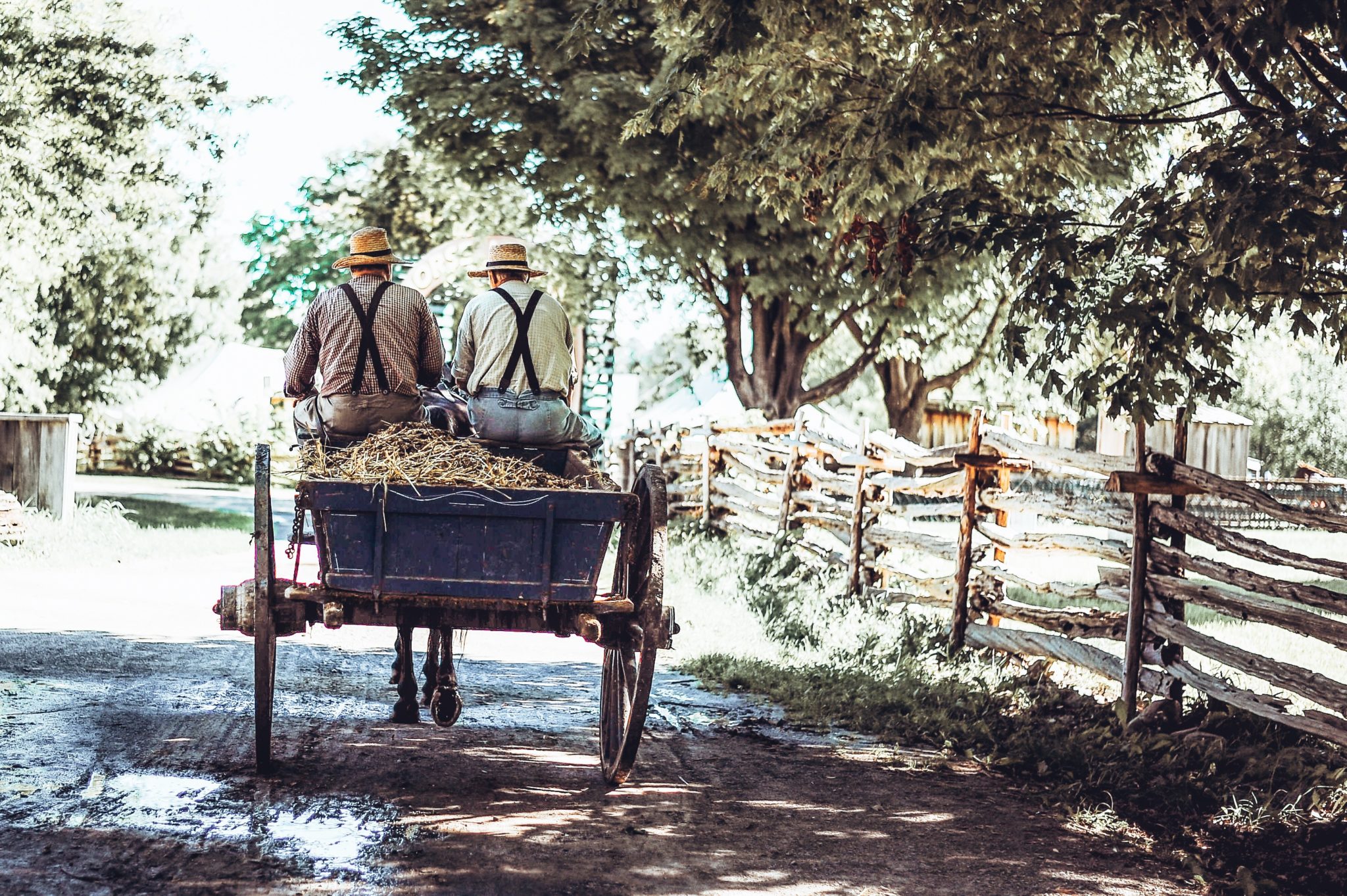 Lancaster Amish