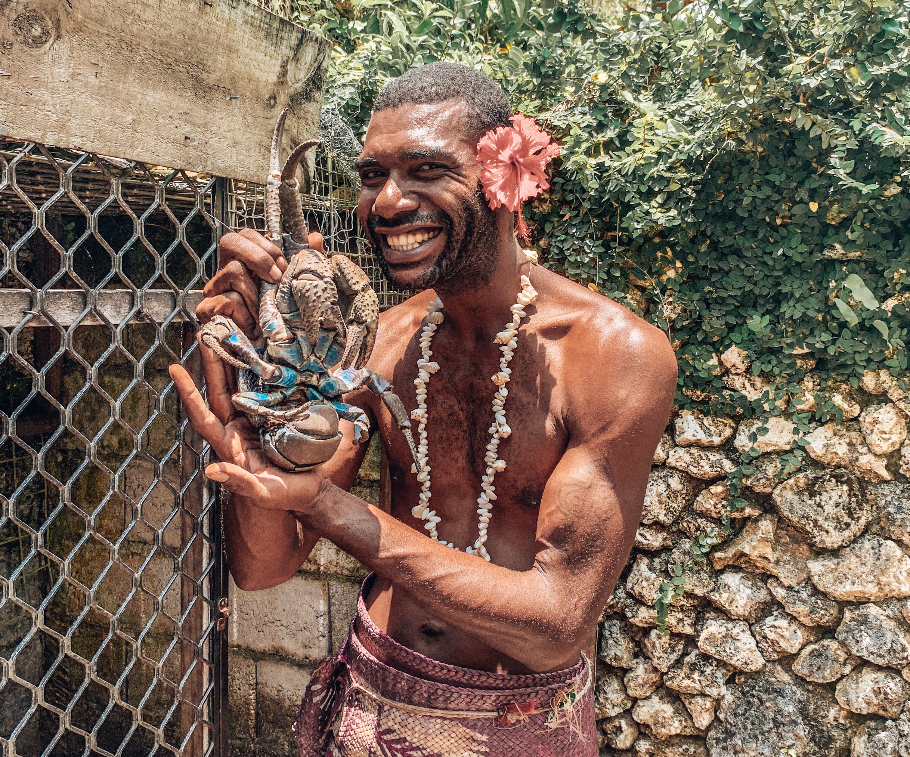 Coconut Crab Vanuatu