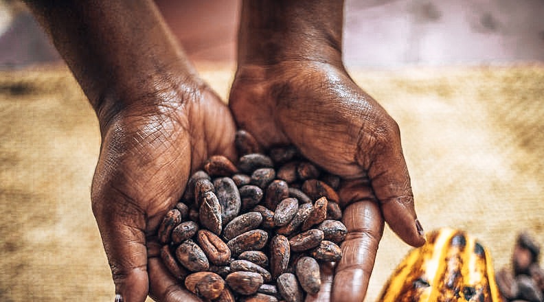 Tanna Coffee - local Vanuatu coffee