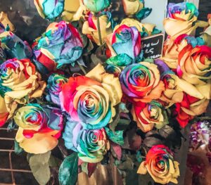 Bouquet of rainbow coloured roses