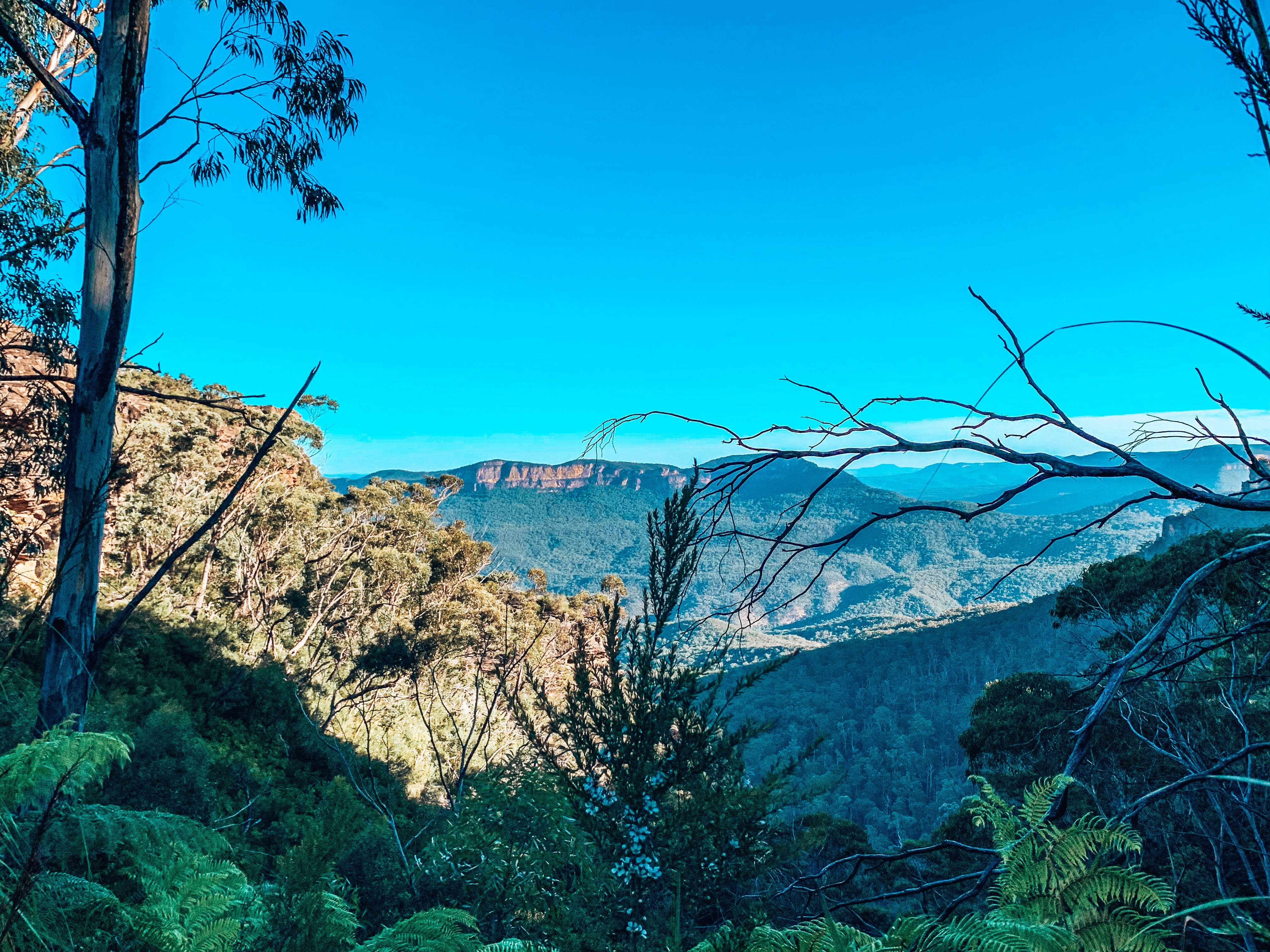View of the Blue Mountains, Sydney