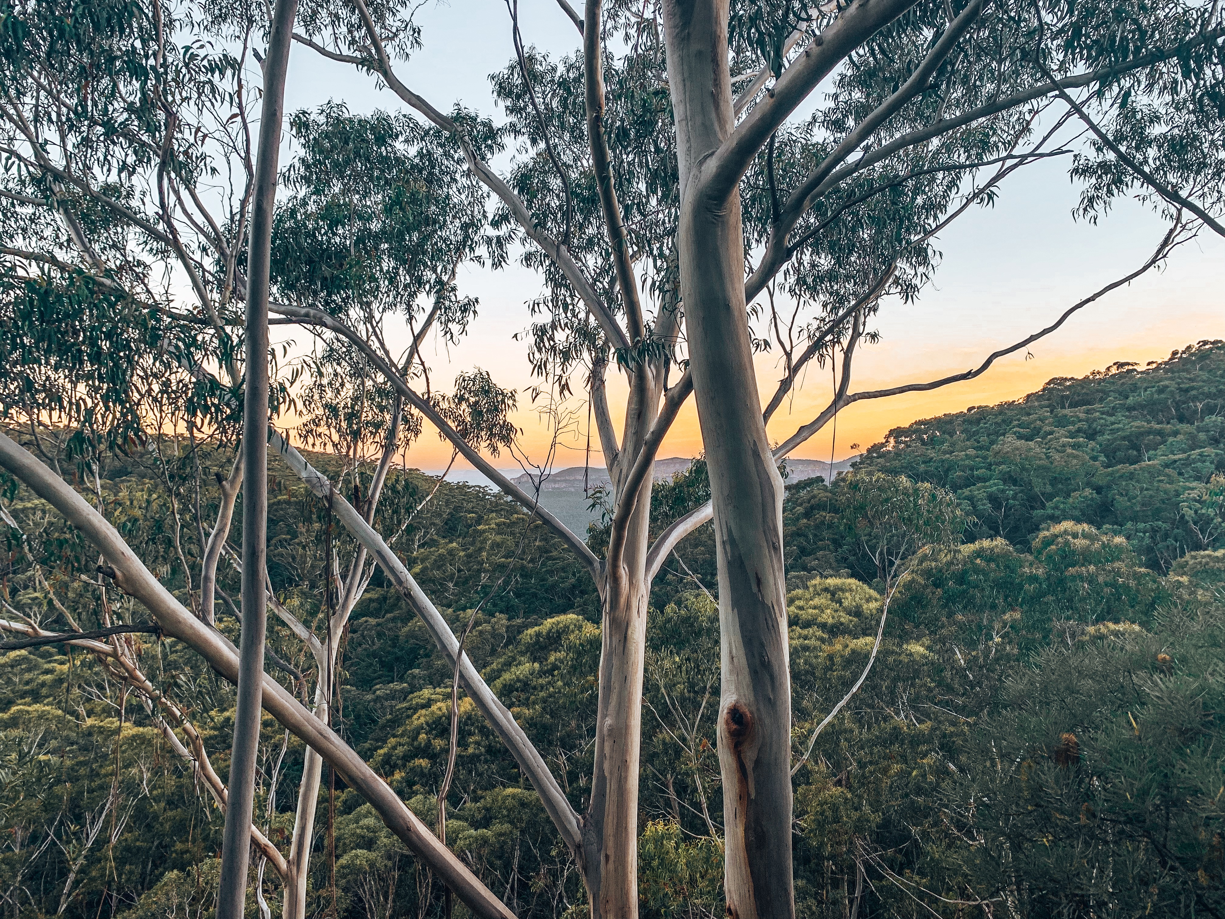 Sunset over Blue Mountains, Sydney
