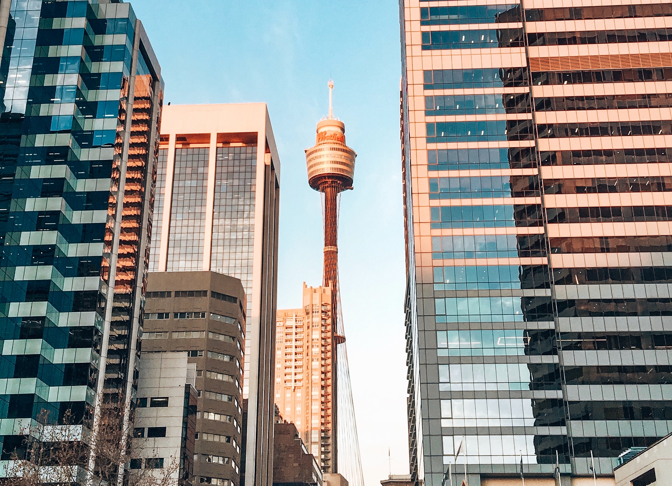 Sydney Tower Eye Sydney Tower Eye