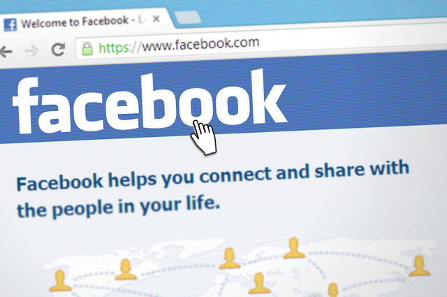 Facebook Search Facebook Search