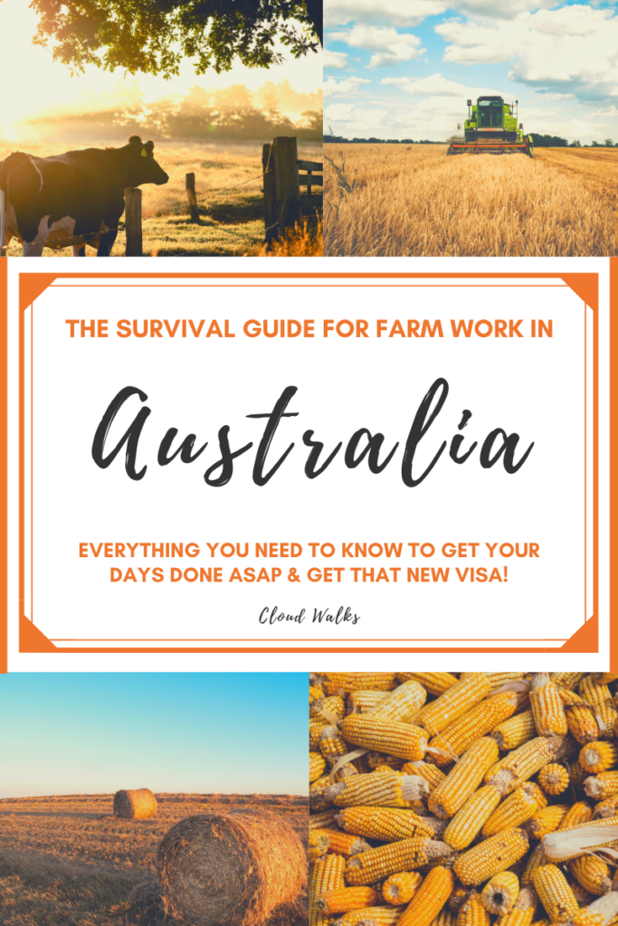 88 Days of Farm Work Australia All your questions answered Cloud Walks