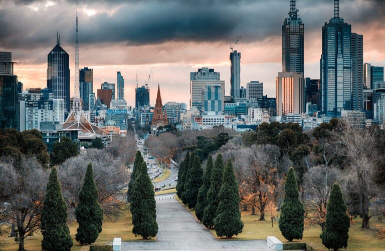 Scenic photo of Melbourne CBD through tree