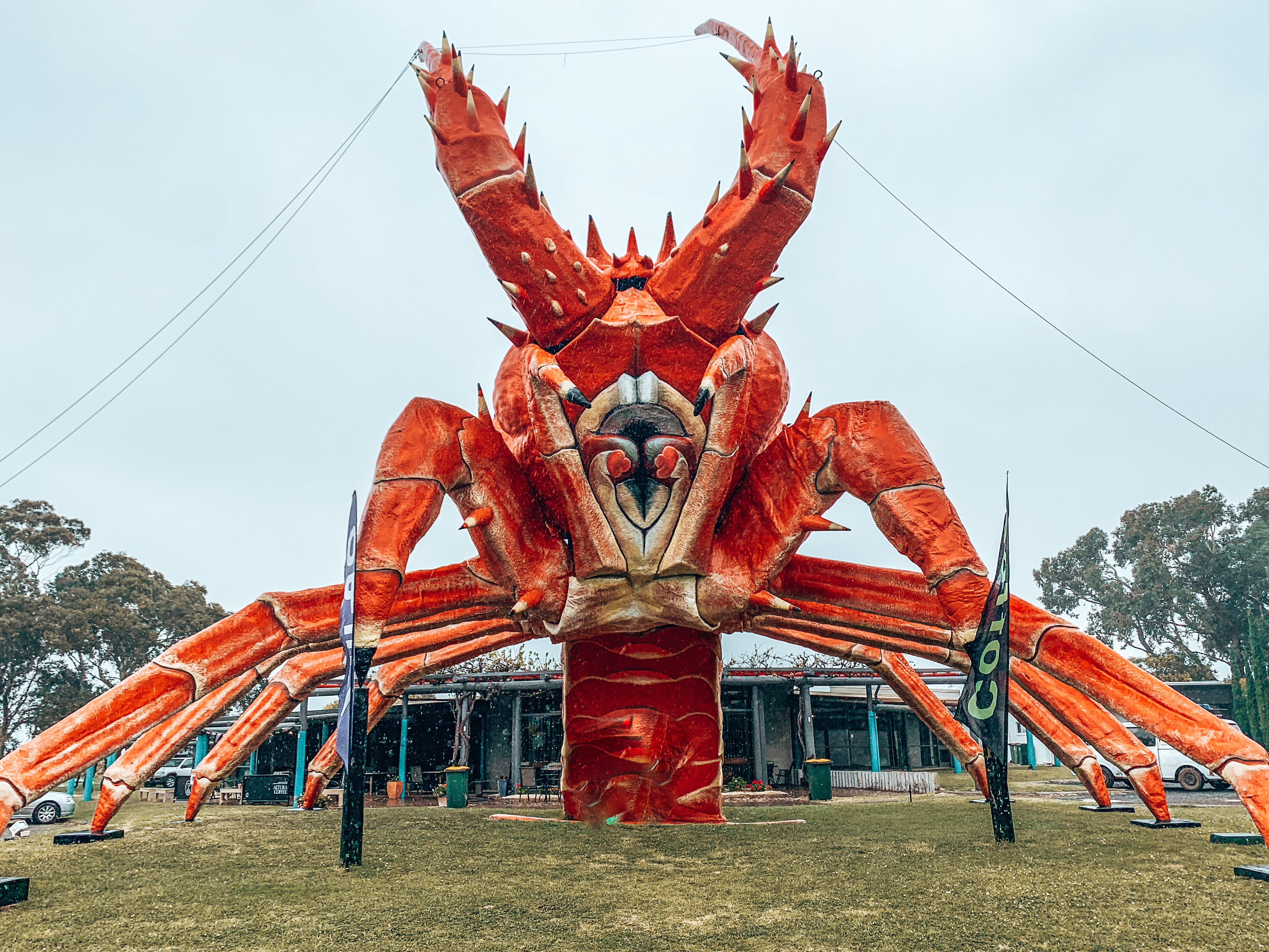 The Big Lobster - Image of giant lobster model