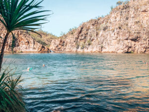 Edith Falls, Katherine - Image of people swimming in large natural pool