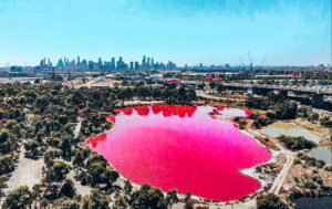 Pink Lake Melbourne - Aerial Image of Bright Pink Lake - Ultimate Guide to Melbourne