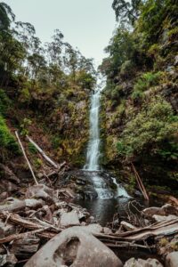 Erskine Falls - Lorne - Great Ocean Road Recommended Stops