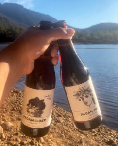 Pagan Cider - Hobart Cider Trail - Things to Do in Tasmania