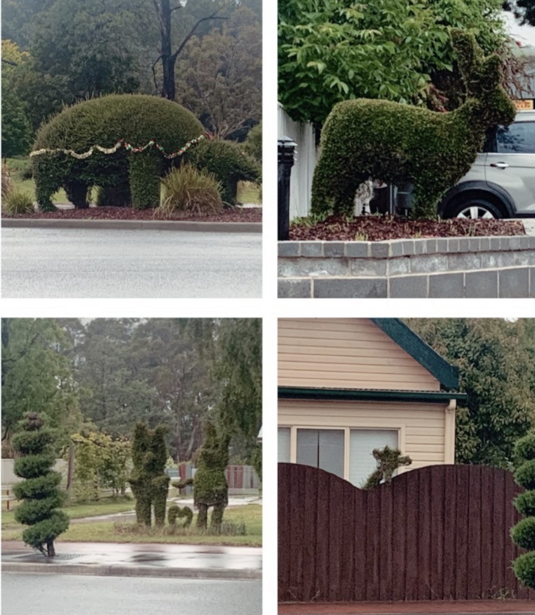 Railton Tasmania - Collage of bushes shaped liked animals - Things to Do in Tasmania