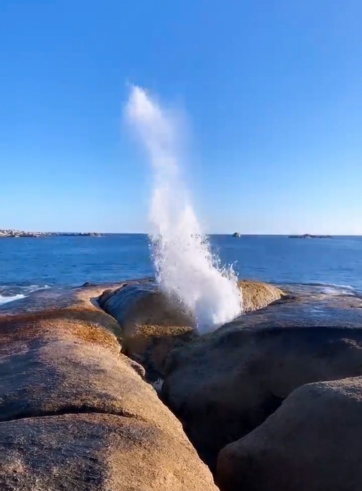Bicheno Blow Hole - Image of water shooting up through the rocks - Lap of Tasmania