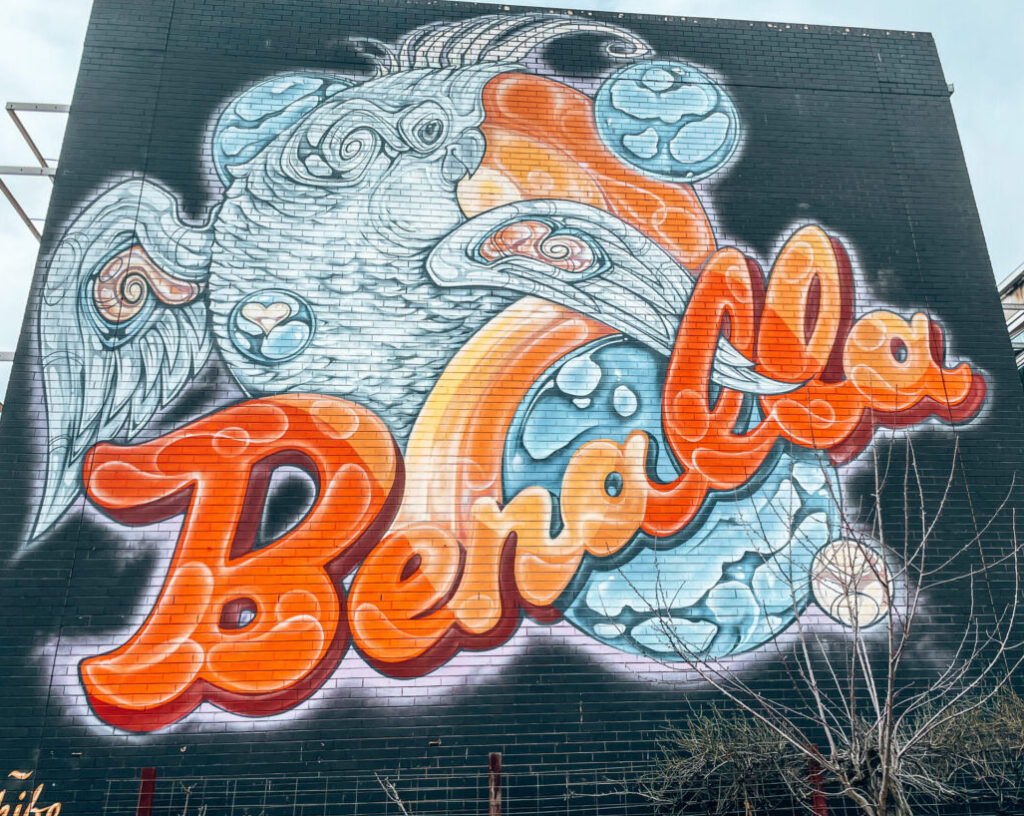 Benalla - Melbourne to Mount Hotham. Street Art of a cockatoo and orange text "Benalla" on black background