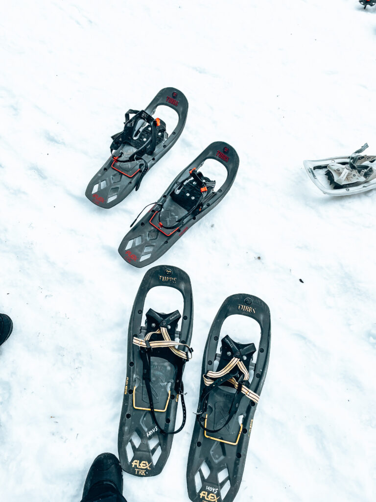 Snowshoe Experience - Traverse Hotham - Things to do from Melbourne to Mount Hotham